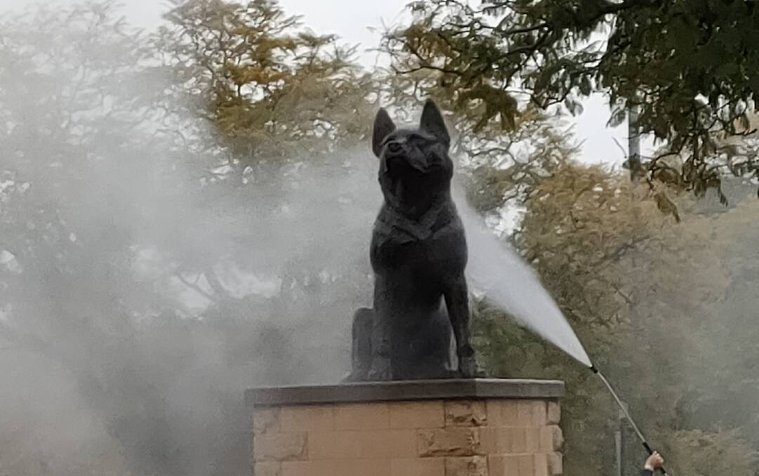Muswellbrook's Blue Heeler statue. Picture by Laurie Sullivan