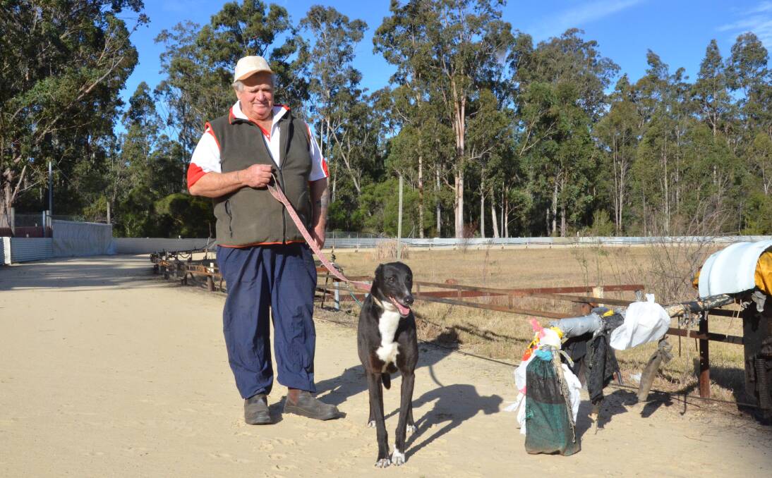 GUTTED: Abernethy greyhound educator Bob Whitelaw and seven-year-old Our Girl (who raced as Surprise Me Lee, and retired after a fall at the Gardens in 2013). Picture: KRYSTAL SELLARS