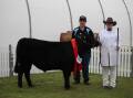 The grand champion school carcase was awarded to Scone High School for their Angus steer bred by BW and MM Brooker, Rouchel, pictured with students Ryan Davidson and Brooke Sampson. Picture supplied.
