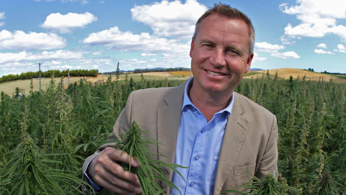 Minister for Primary Industries and Water Jeremy Rockliff, pictured at a Kindred hemp farm, supports FSANZ decision. Picture: Jason Hollister.