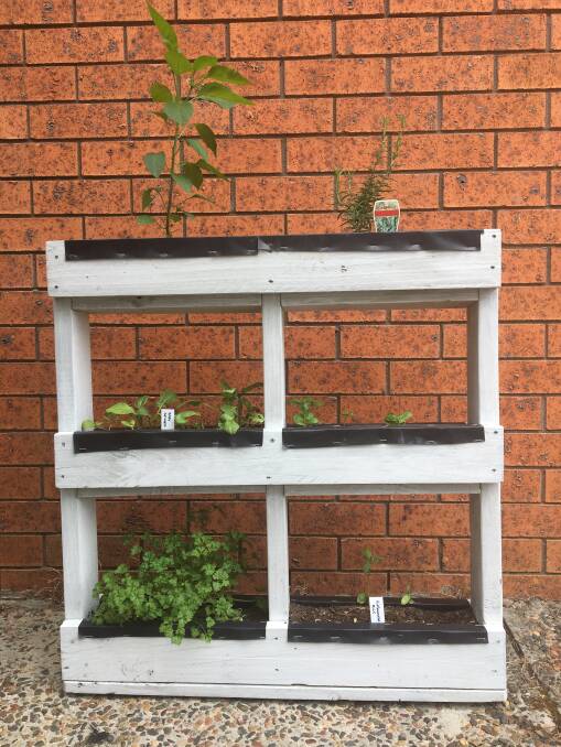 An example of a pallet garden made by Ellie.