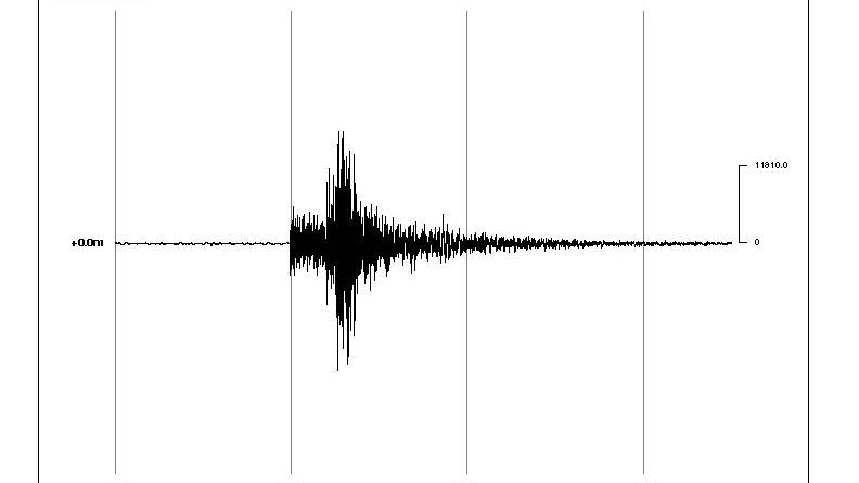 EARTHQUAKE: A seismogram reading from Mangrove Creek Dam on Thursday afternoon.