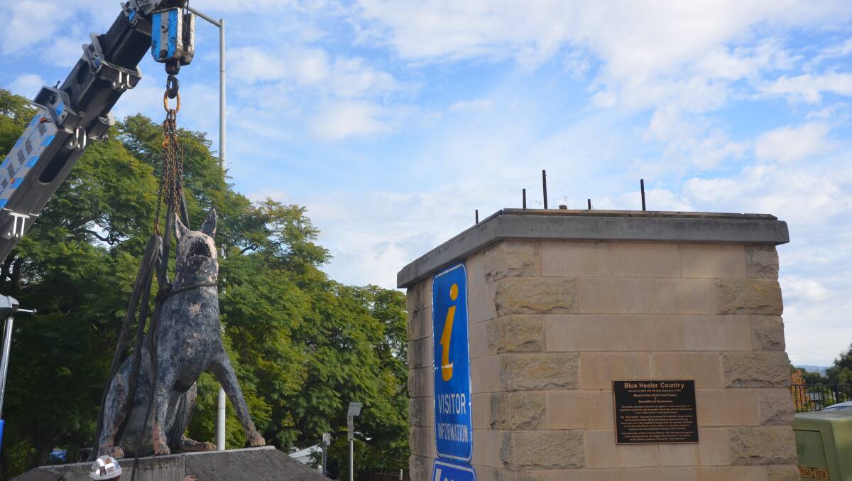 GONE: Muswellbrook Shire Council removed the Blue Heeler statue from its plinth on Bridge Street on Friday.
