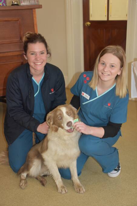 SWEET EVENT: Pet Medical Muswellbrook's Chloe Dever and Bianca Mell feeding one of the dog-friendly 'pupcakes' to one of the centre's furry friends.