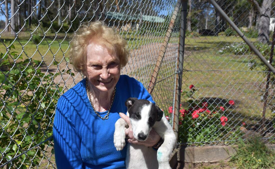 DELIGHTED: Maureen Sharman with one of her greyhound puppies on Tuesday.