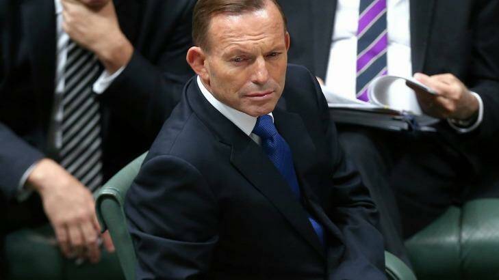 Prime Minister Tony Abbott has been quick to say that no decision has been made on Australian air strikes.  Photo: Andrew Meares