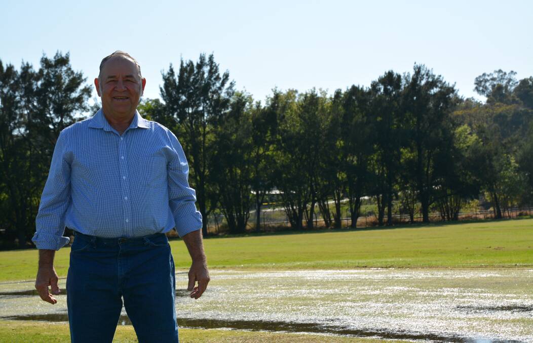 EAGER: Souths' Ted Denton stands near the watered Olympic Park cricket pitch on Wednesday morning.