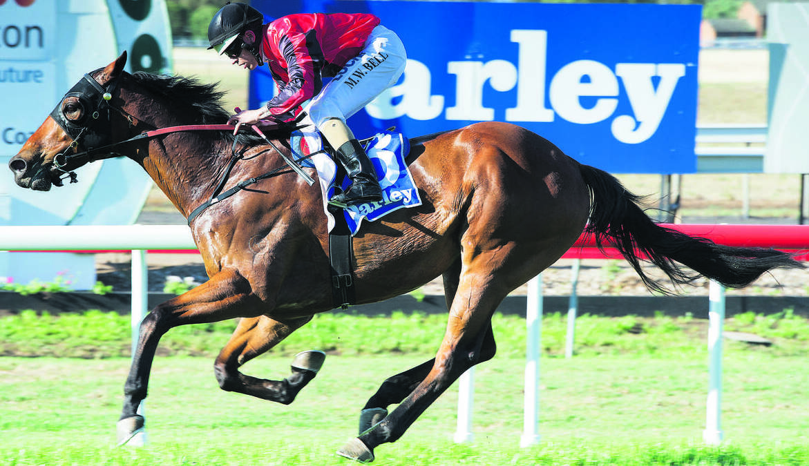 Griffith enters Cup with classy runner
