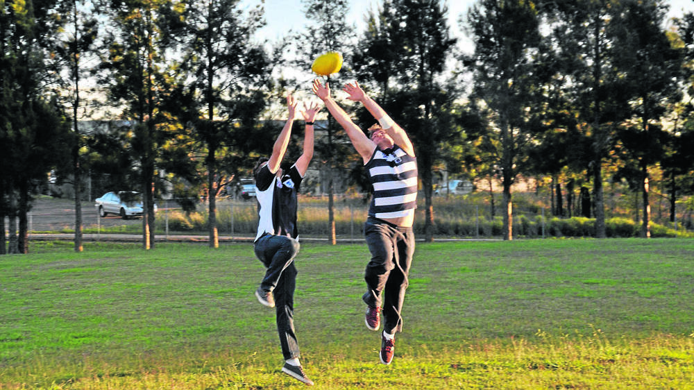 CONTEST: New Cats recruits Jedd Stojakovic and Adam Highnam challenge for the ball on Wednesday.