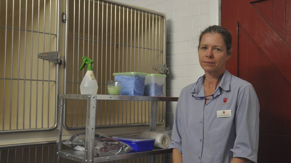 CONCERNED: Pet Medical’s Dr Peta Gay Railton in the vet's isolation room.