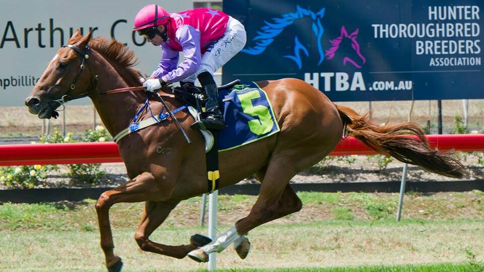 STUNNING RESULT: Jetstream, ridden by Paul King, led all the way to win the Thank You Gold Sponsors Maiden (1450m) at the Muswellbrook Race Club.
Pic: KATRINA PARTRIDGE PHOTOGRAPHY