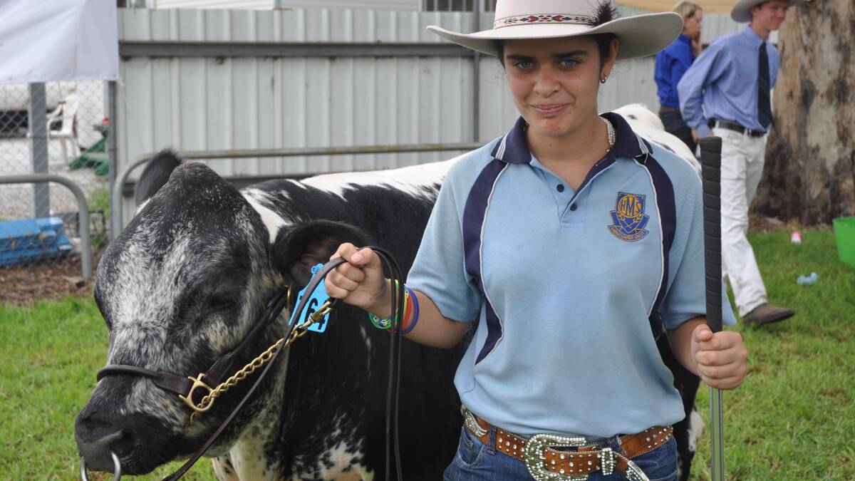 SHOW TIME: Muswellbrook High School’s Yasmin Zahrooni took part in the cattle events today at the Upper Hunter Show.