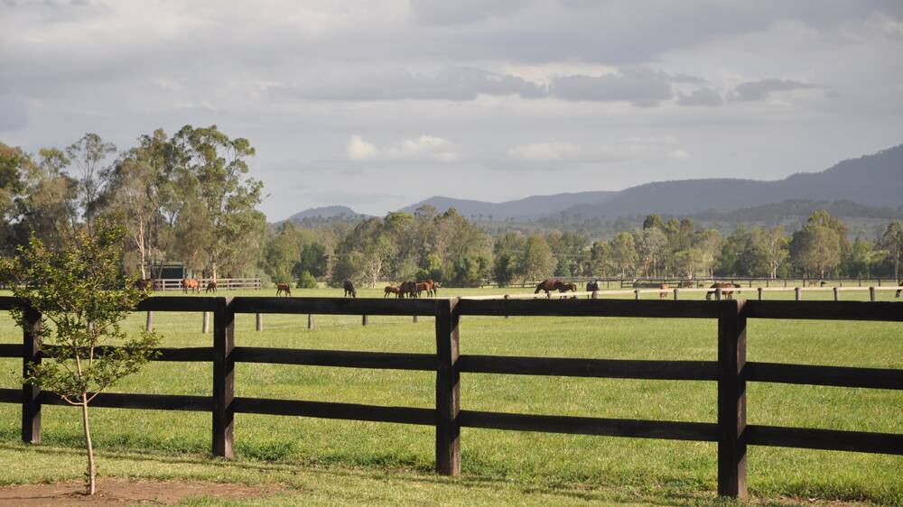 CONCERNED: The Hunter Thoroughbred Breeders Association is calling on the NSW Government to protect its industry.