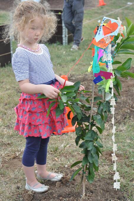 BUSY HANDS: Elsie Kennedy, 4, from Scone, attended the Sustainable Fair with her grandparents and seemed pleased with her citrus tree decorations.