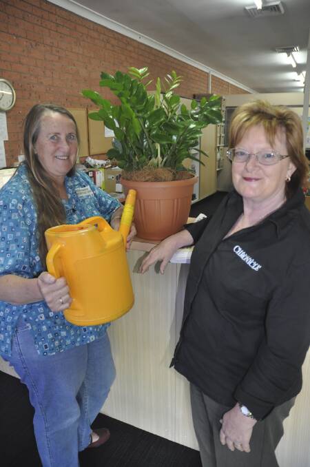 HAPPY CUSTOMER:  Muswellbrook Chronicle administration supervisor Kerrie Hawkins (right) with Helen Hammond, otherwise known as the plant lady.  