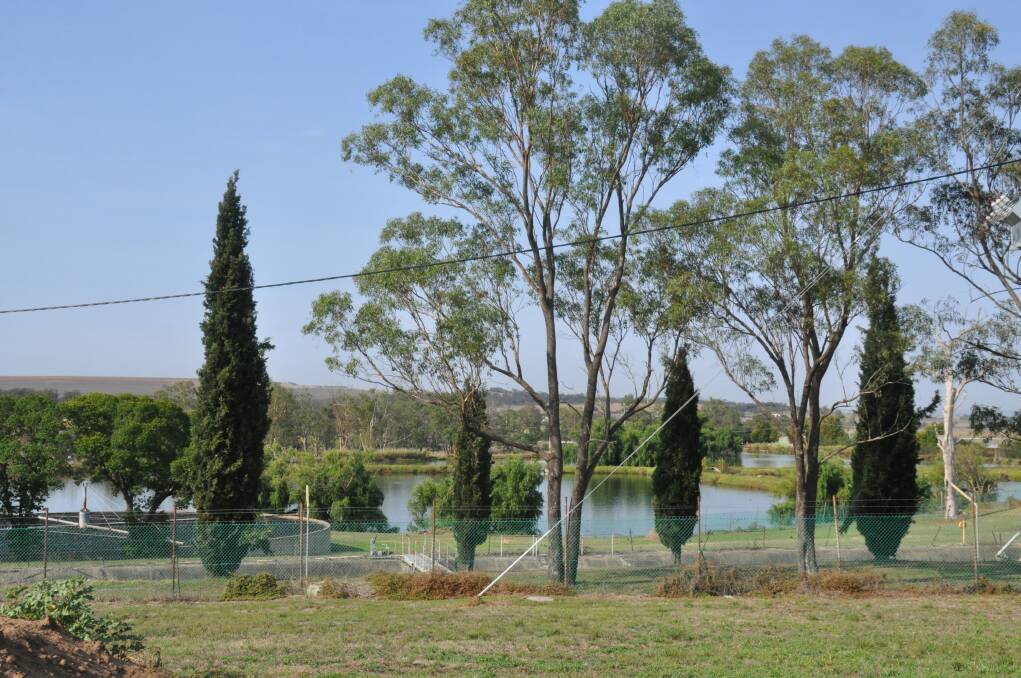 JANUARY: SHIRE STINK: Muswellbrook’s sewage treatment plant is already at capacity, with a new one not due to be built until 2022. A new plant is expected to cost $34 million. 