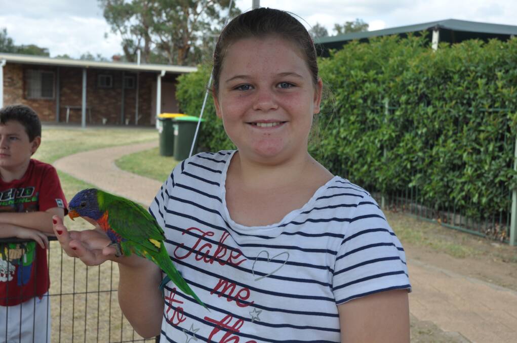 TWEET TWEET: Zoe De-Boni from Western Australia met a native bird at Denman on Sunday.