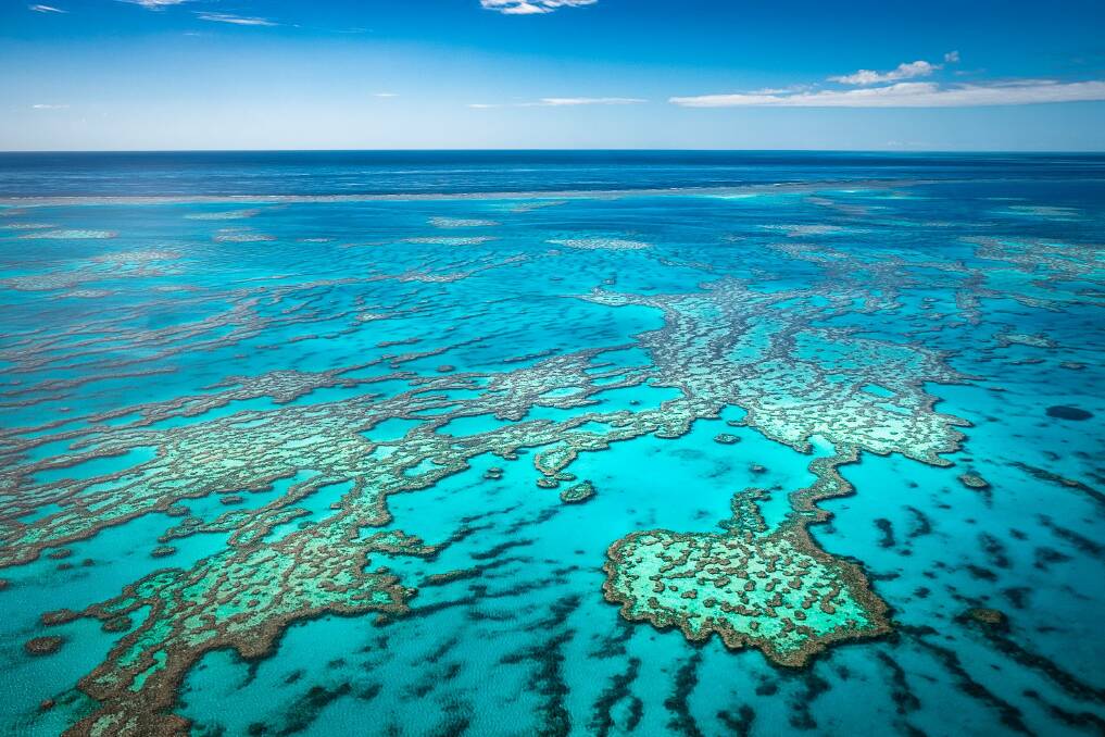 The Great Barrier Reef has suffered three major coral bleaching events since 2016. Picture: Shutterstock
