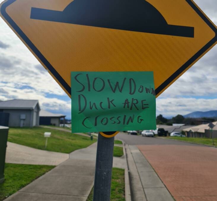 SLOW DOWN: A sign made by Lissa Anderson asking drivers to slow down and be wary of ducks in her Muswellbrook street. Picture: Tara Anderson