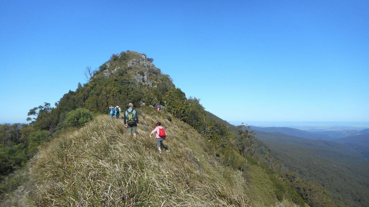 MOUNT ROYAL: Callicoma Hill also offers more difficult guided one-day bushwalks tracing the footsteps of explorer Ludwig Leichardt. Photo: Callicoma Hill