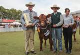 RAS councillor Stuart Davies, Lachlan Mann, and Nahomi Matsuda, Japanese Consulate, with the champion heavyweight steer on the hoof. The steer, bred by David Cameron Spring Hills, Merriwa, proceeded to take out the supreme purebred steer exhibit. Picture by Alexandra Bernard.