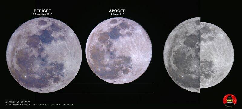 A comparison between the December 3, 2017 full moon at perigee (closest to Earth for the month) and 2017s farthest full moon in June at apogee (farthest from Earth for the month). Picture: Muzamir Mazlan at Telok Kemang Observatory, Port Dickson, Malaysia