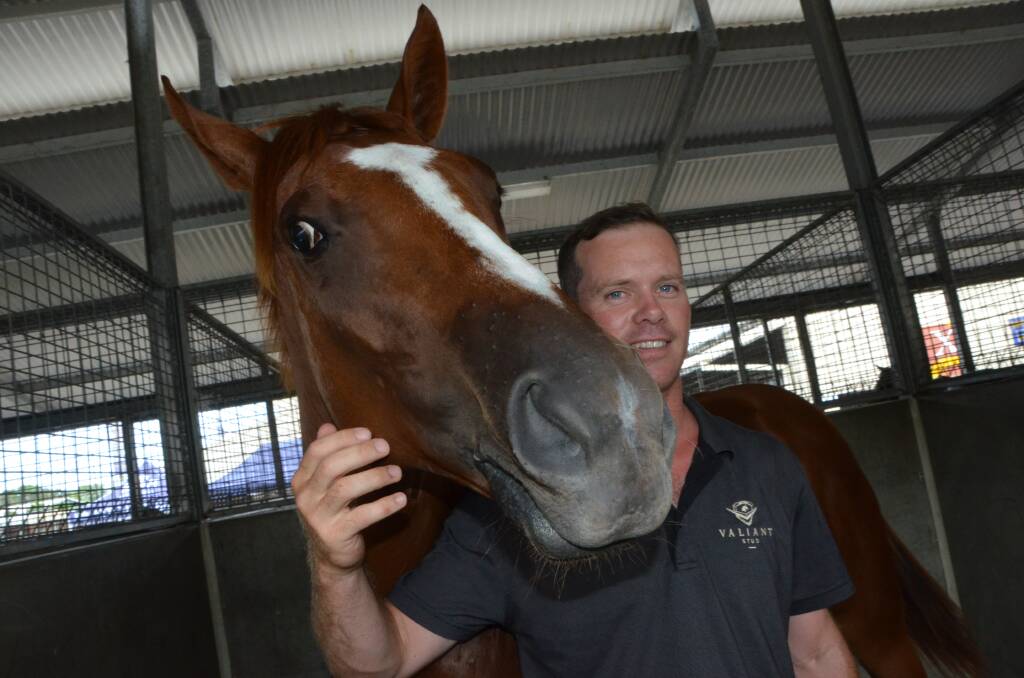 New Upper Hunter thoroughbred farm operations principle Fergal Connolly – Valiant Stud, with the chestnut filly by hot young sire Zoustar, from Thurlow, which was to be offered at the Magic Millions. Photo Virginia Harvey.
