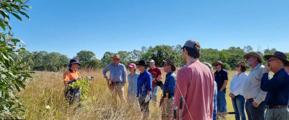Grass identification workshop at Baerami Wednesday 1 May. This event is run by Hunter Local Land Services and is free.
