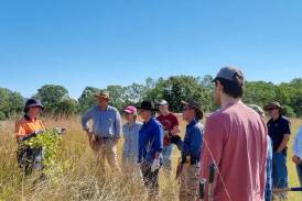 Grass identification workshop at Baerami Wednesday 1 May. This event is run by Hunter Local Land Services and is free.