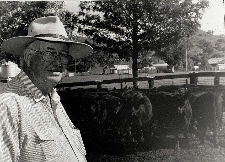 The late Brian Brooker, 'Main Camp' Rouchel with some of his Angus steers. 