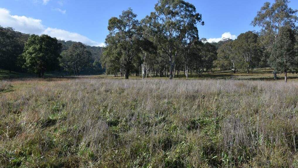 Some of the land set aside for bio diversity offsets by Glencore in the Upper Hunter 