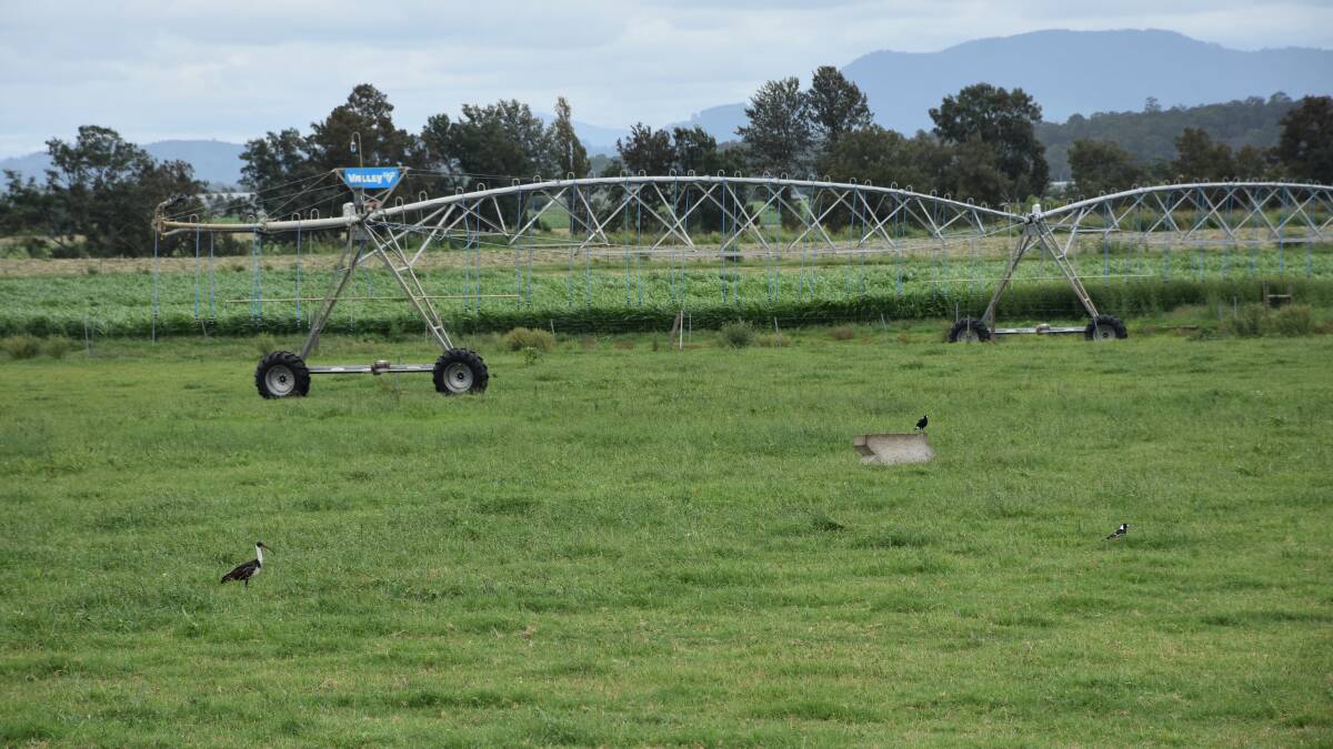 Hunter River irrigators will receive 20 per cent water allocation