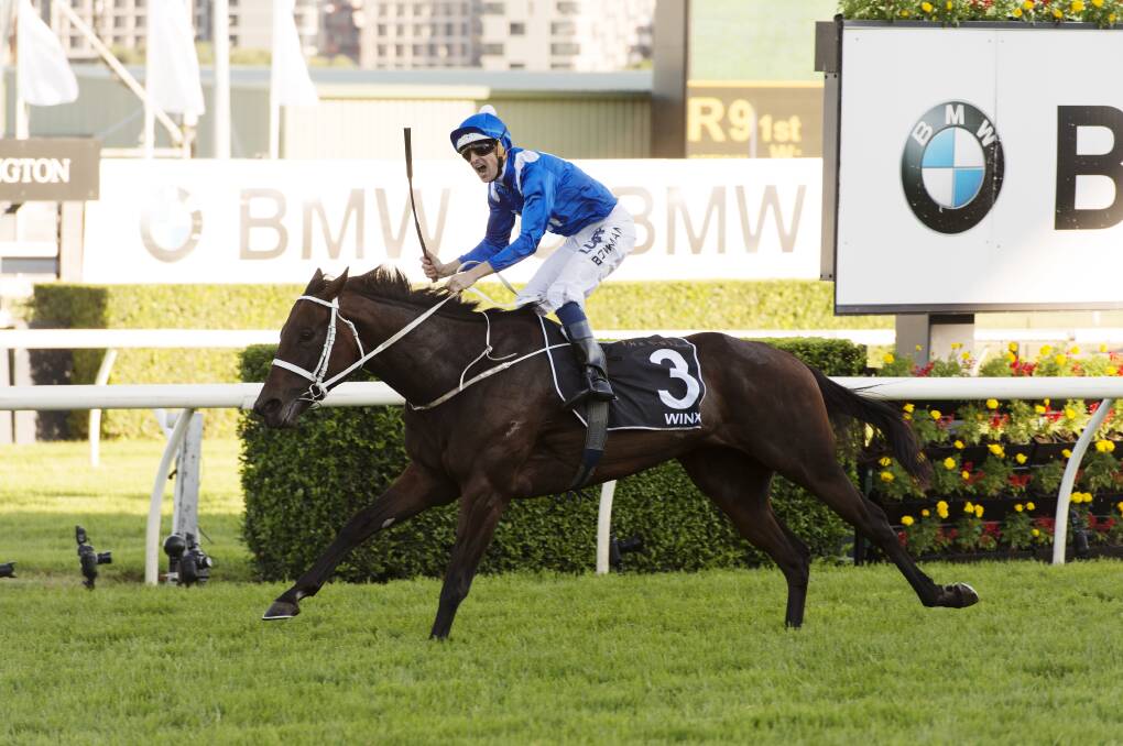 CHAMPION: Hunter born and bred mare Winx. Winx and her dam and sire are all nominated in this year's HTBA awards. 