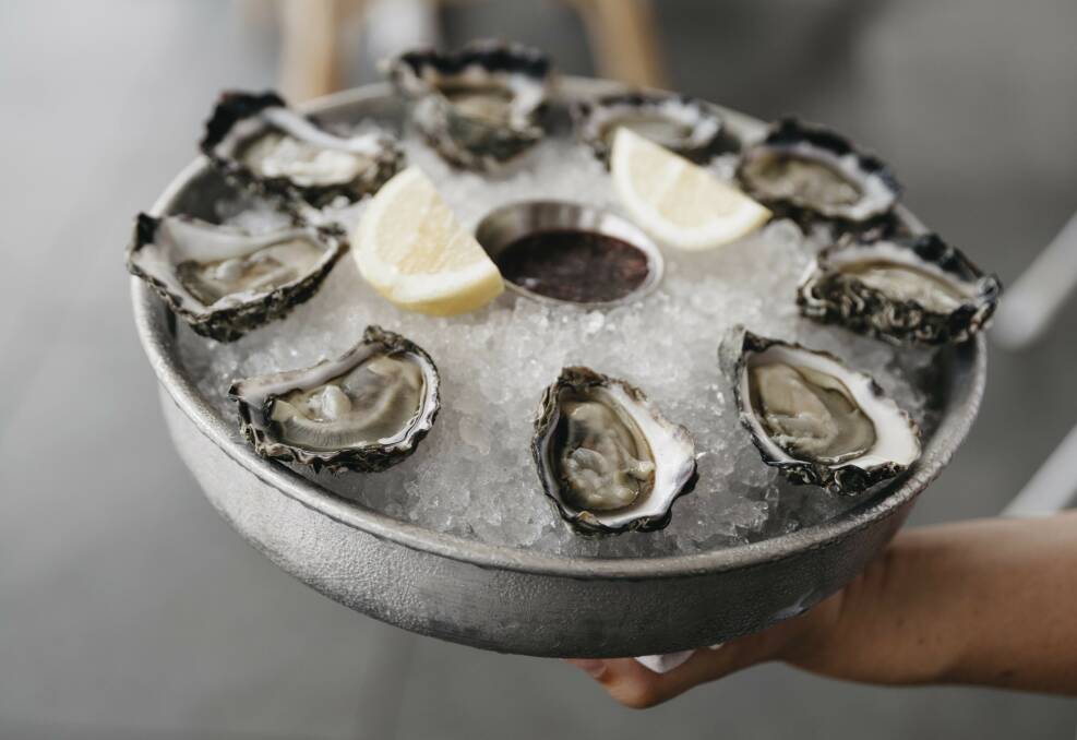 Fresh local oysters at Bannisters. Picture: Destination NSW