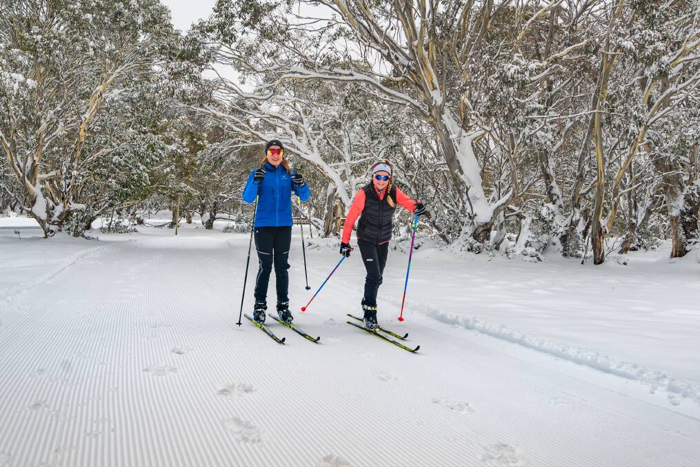 COLD BLAST: Cross Country skiing is set to become more popular at Dinner Plain this snow season with downhill not available. Picture: NATHAN FENTON