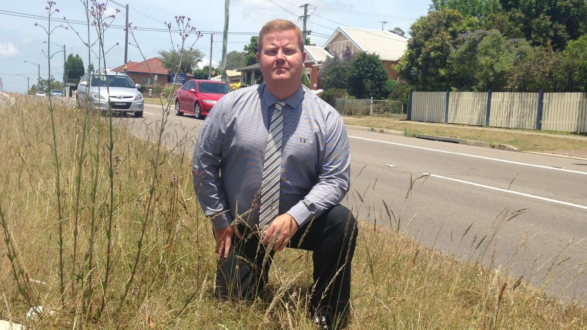 IN THE MIDDLE: Maitland councillor Philip Penfold pictured with an overgrown median strip on the New England Highway at East Maitland.