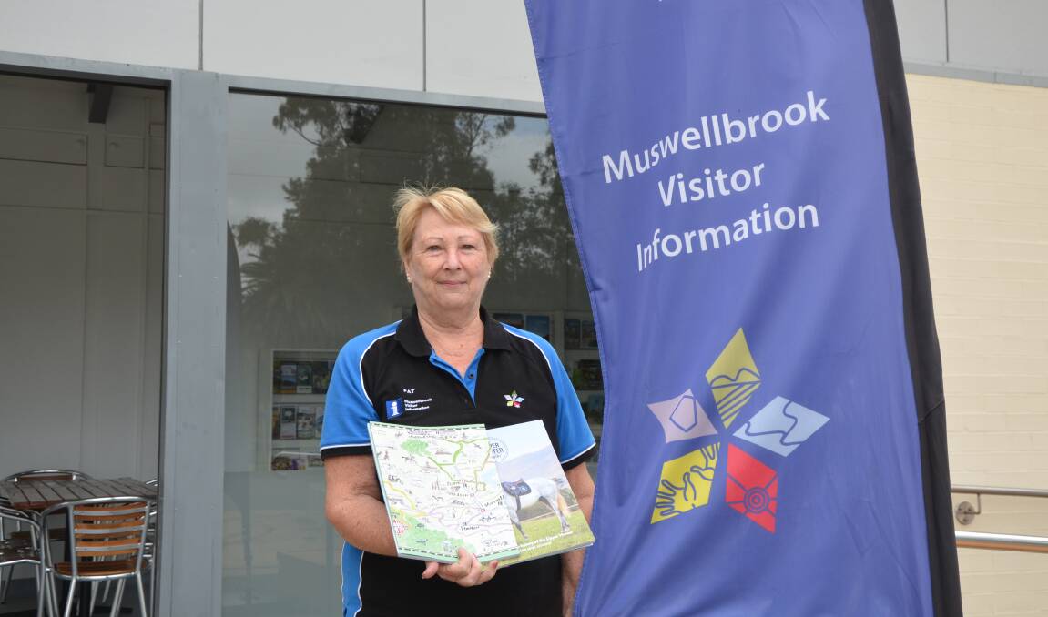 Pat Budden at the recently-relocated Muswellbrook Visitor Information Centre at the Muswellbrook Regional Arts Centre.