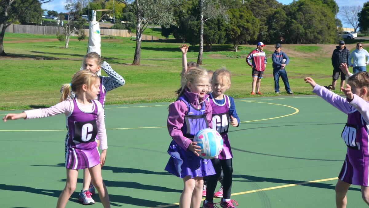 Muswellbrook Netball Association Boasted One Of The Biggest