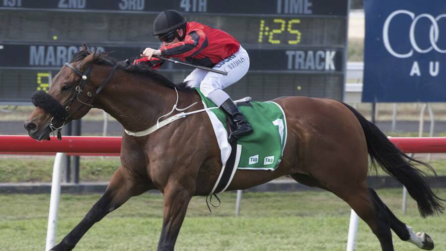 IMPRESSIVE: Dubbo apprentice Chris Williams guides Puzzling Wonder to victory in the Kayuga Cup (1450m) at Muswellbrook on Tuesday. Pic: KATRINA PARTRIDGE PHOTOGRAPHY