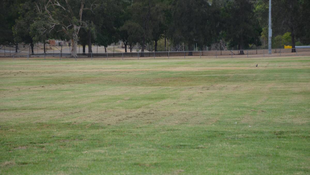 Muswellbrook's Olympic Park