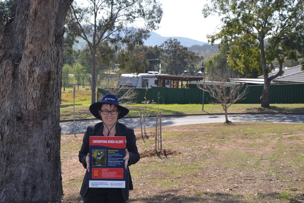 Muswellbrook Shire Council's sustainability officer Tracy Ward said prevention was important for magpie season