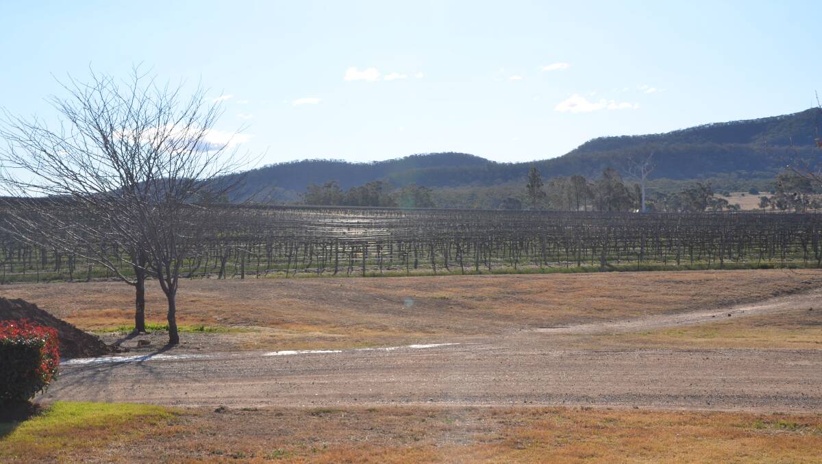 Some effects of the drought can be seen at Two Rivers Winery