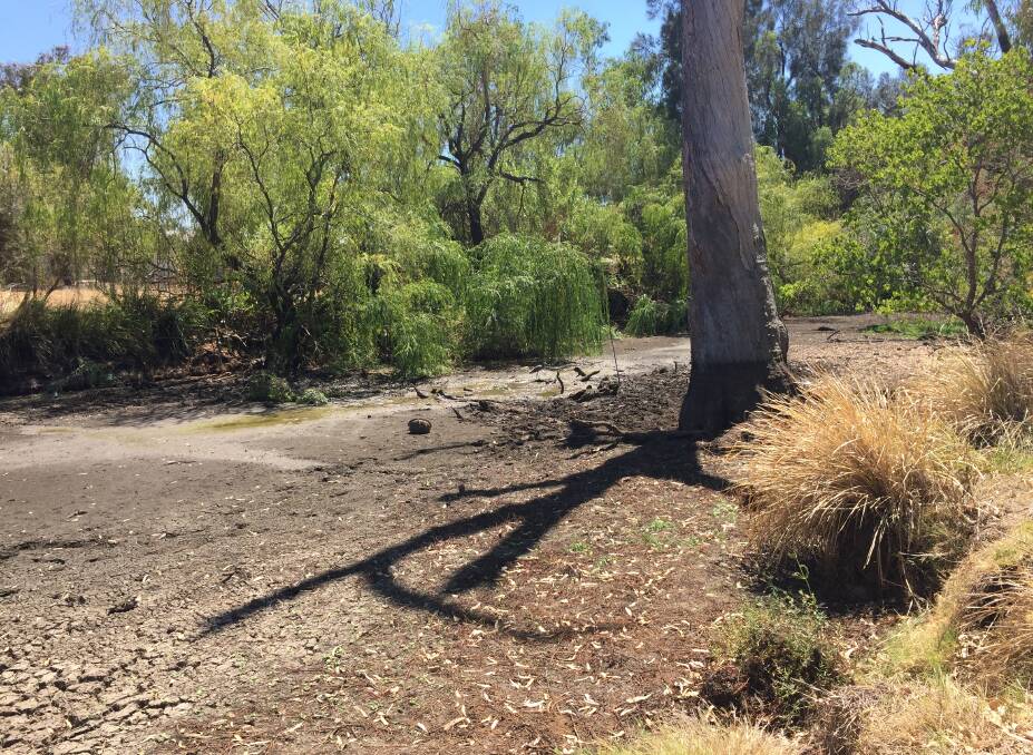 Dry times have impacted Denman's waterway and cleaning it up has become an issue of who's responsible.