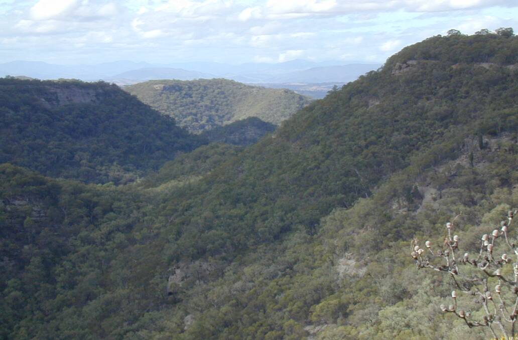 Majestic: A view of the Manobalai Nature Reserve between Goulburn River and Wollemi national parks about 20 kilometres west of Muswellbrook.