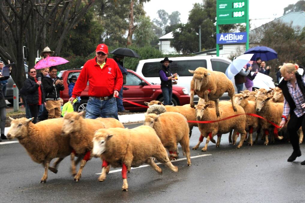 UNIQUE: The Merriwa Festival of the Fleeces will return on the June long weekend. Picture: Sally Gilbey
