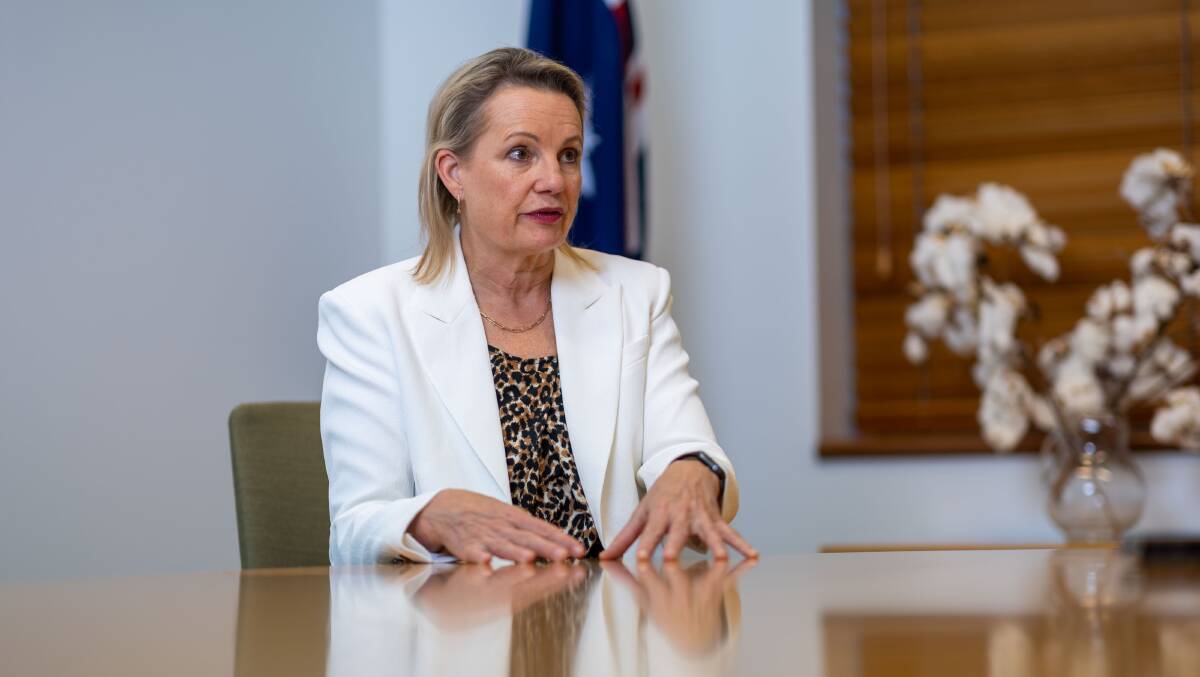 The median income in Sussan Ley's electorate is below $40,000/pa. Picture by Gary Ramage
