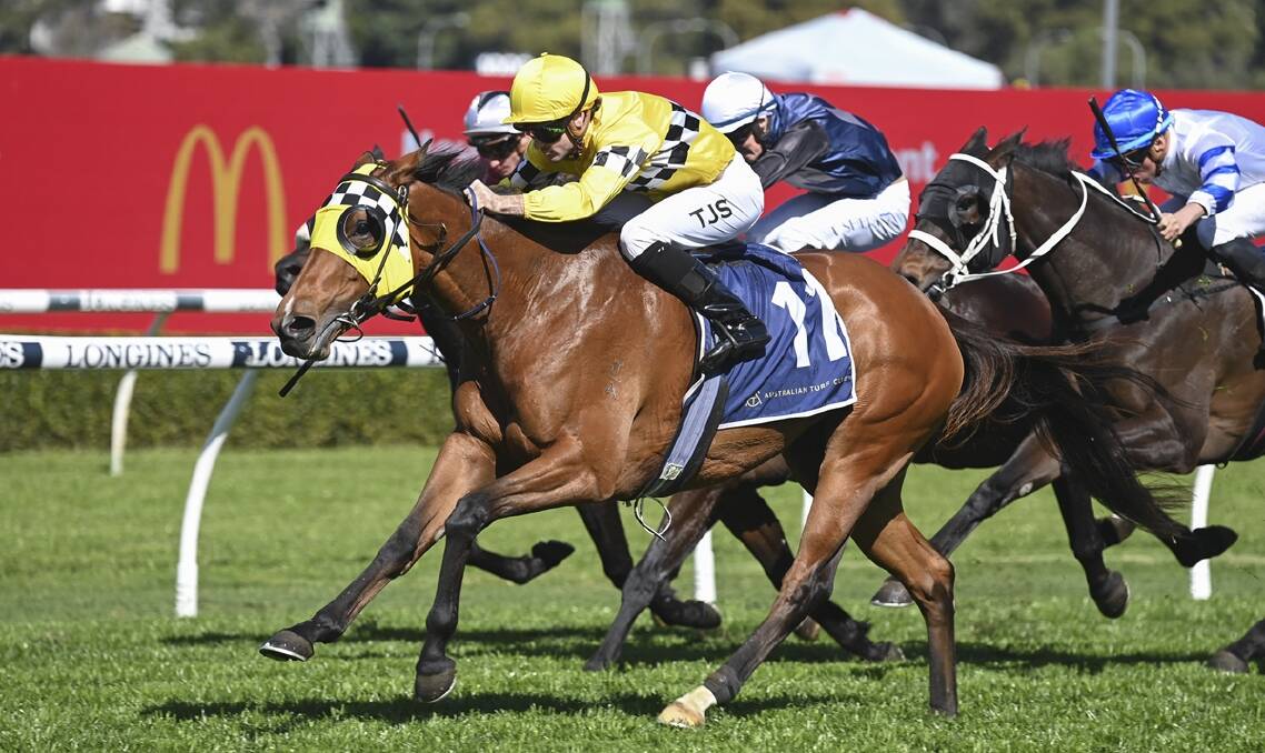 Awesome Wonder is one of the dangers in Race 3, Pluim Group Benchmark 78 Handicap over 2100 metres. Picture Bradley Photos