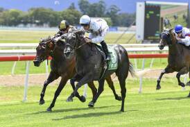 Up and comer Our Gold Hope is tipped as one of the dangers to watch in Race 5 Ghaiyyath First Yearlings Handicap over 1500 metres. Picture Bradley Photos