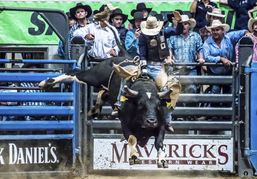 PROVEN CHAMPION: Heffernan achieving the status of aggregate winner in the bull ride at the ABCRA National Finals in January. PIC: A Roberts Media.