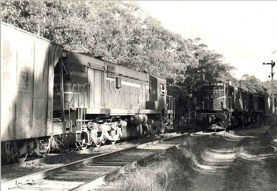 Trains passing at Fernleigh Loop. Picture: Courtesy, Ray Cross 